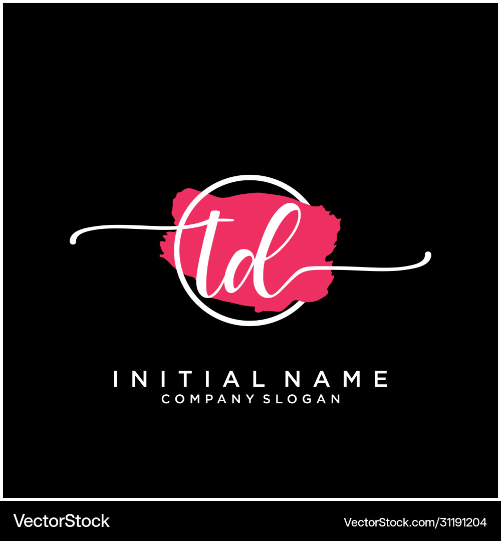 Elegant Initial Logo - TD Brush Script vector image