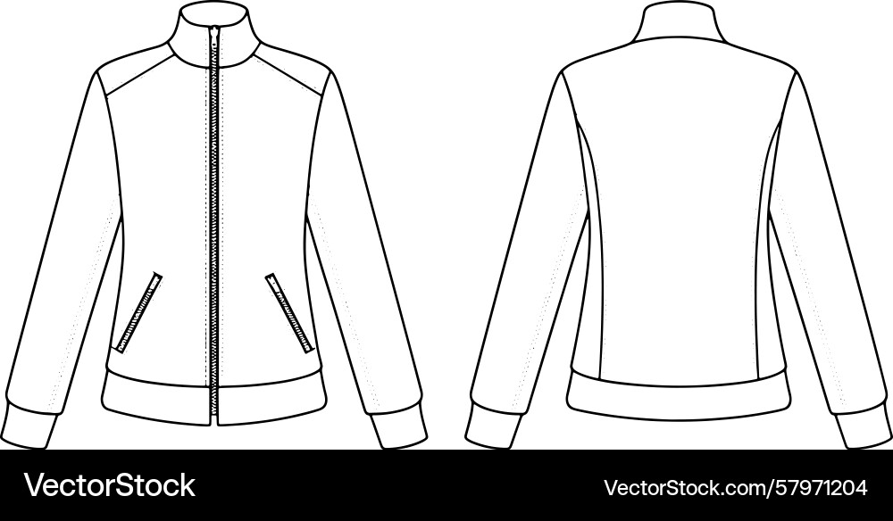 Jacket from two views front and back line art Vector Image