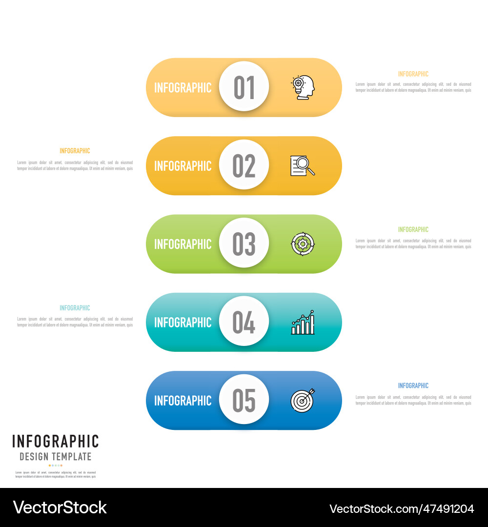 Rectangular tag and button infographic Rectangular tag and button infographic vector image