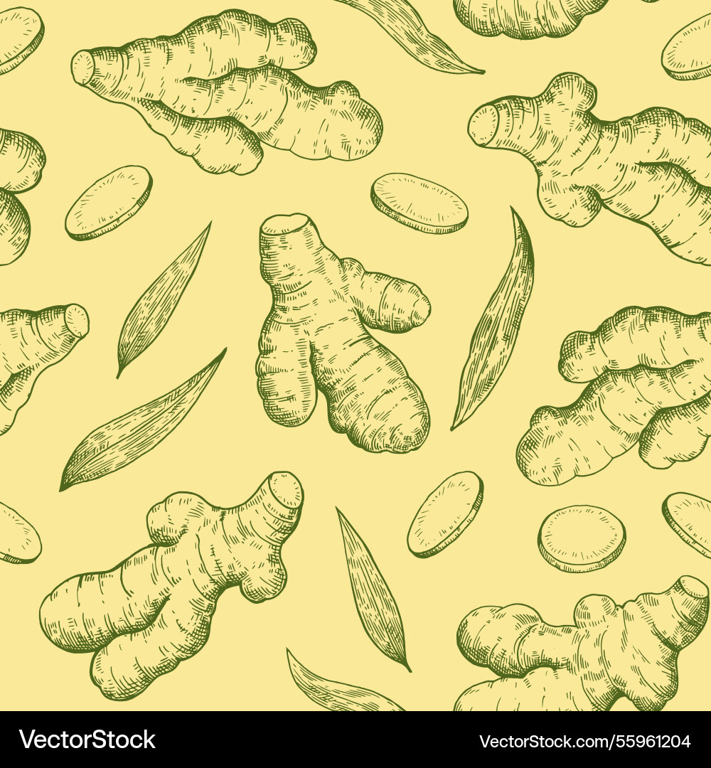 Seamless pattern with ginger roots slices Vector Image