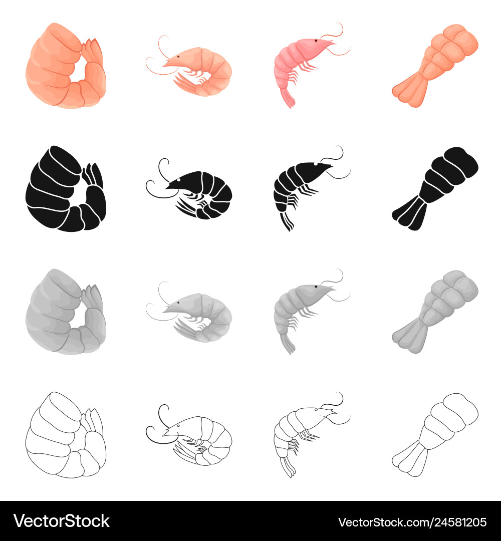 Isolated object of appetizer and ocean symbol set Vector Image