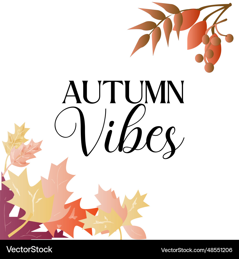Autumn vibes background vector image