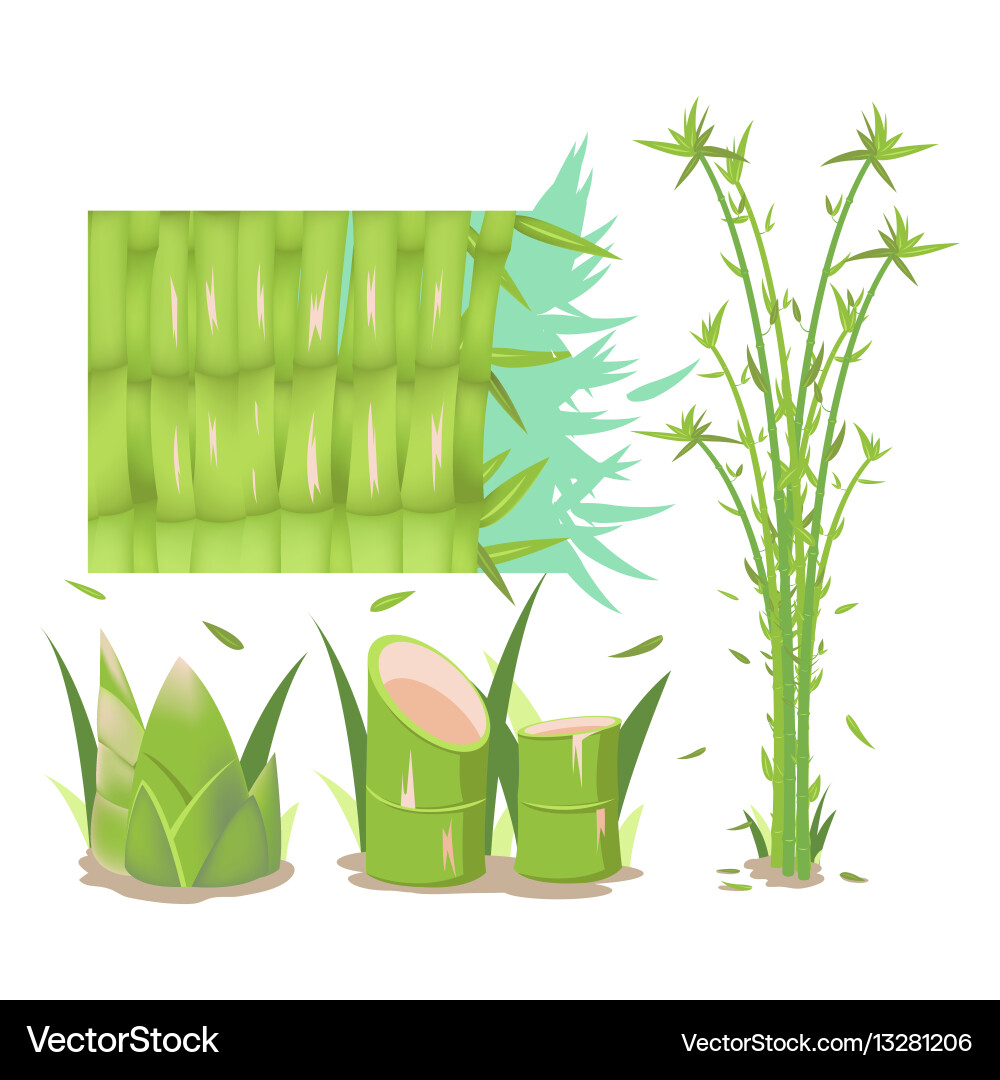 Bamboo tree isolate collection set Vector Image
