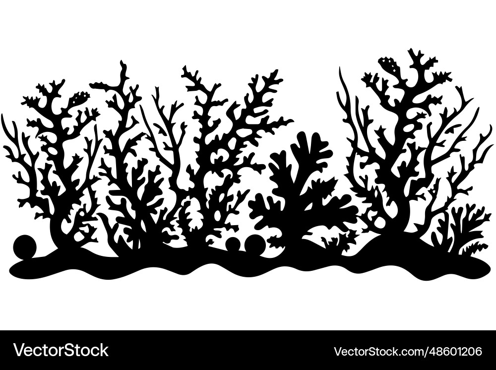 Hand drawn corals and seaweed silhouette isolated Hand drawn corals and seaweed silhouette isolated vector image