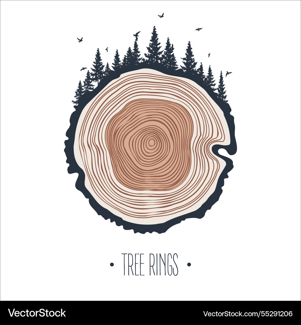 Round tree trunk cut with trees forest and birds Round tree trunk cut with trees forest and birds vector image