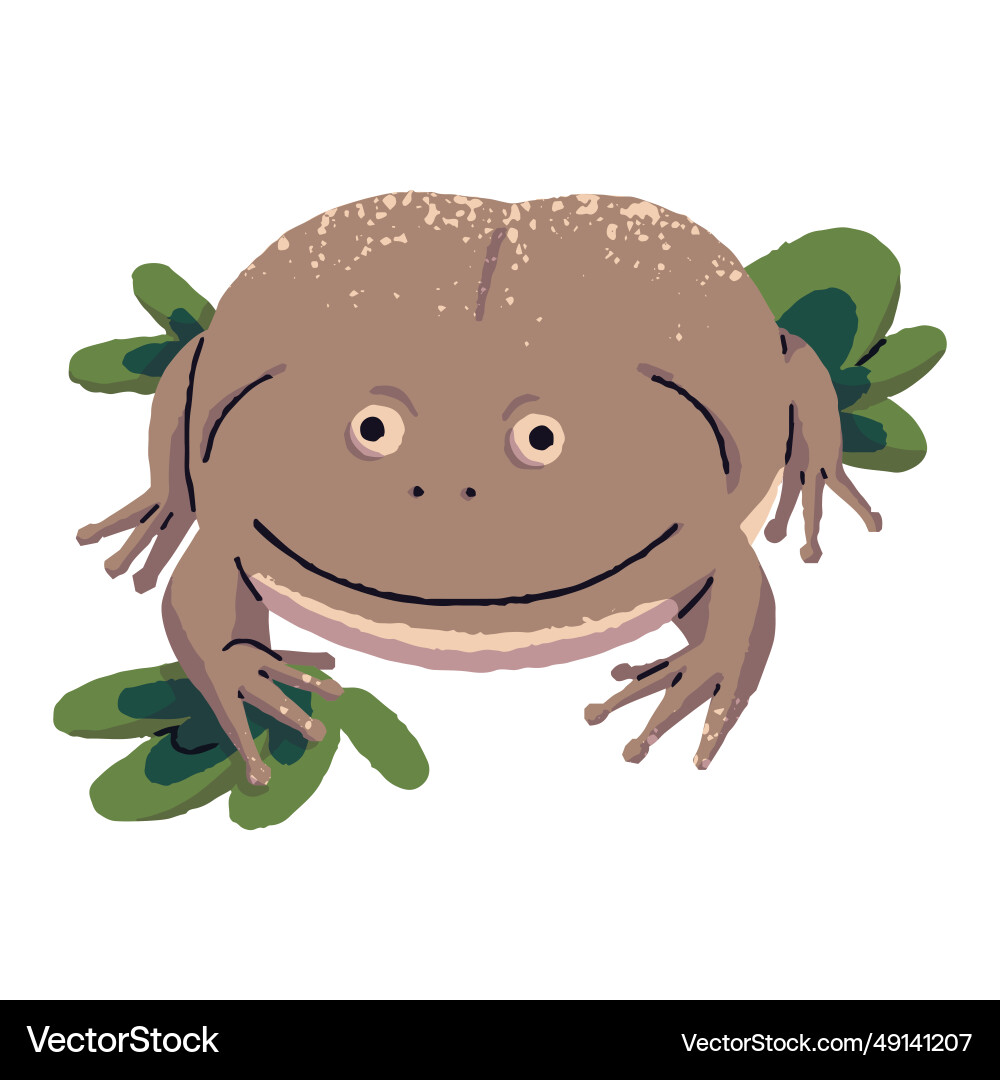 Budgett s frog sit in leaves funny toad Budgett s frog sit in leaves funny toad vector image