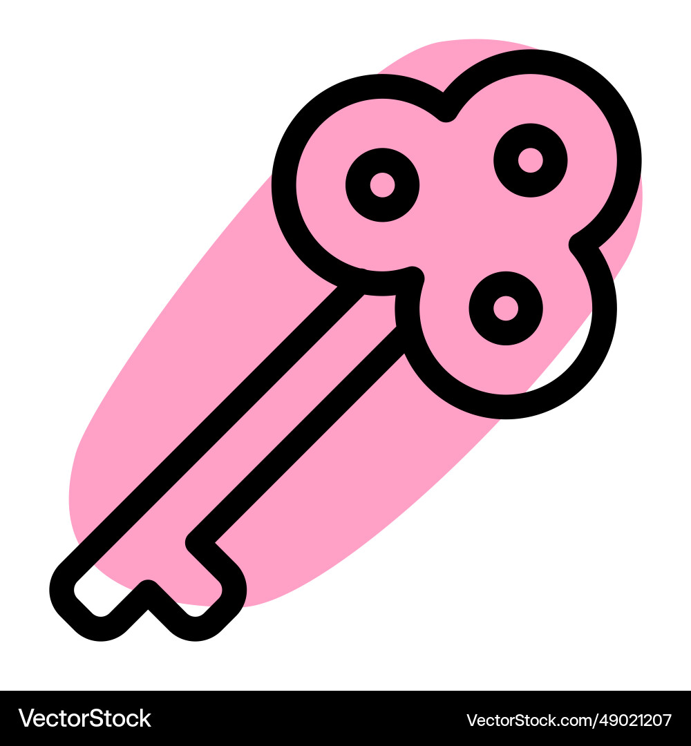 Key an access tool for locks security vector image