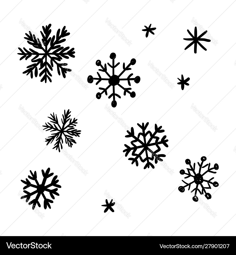 Winter Snowflake Collection Vector Image