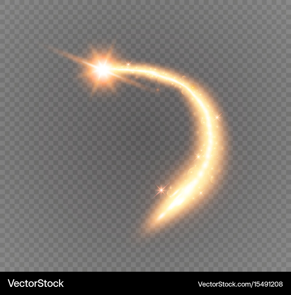 Comet is flying gold glittering stars dust Vector Image