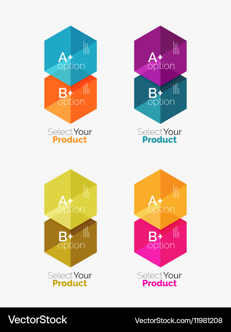 Set of infographic templates with text and options vector image