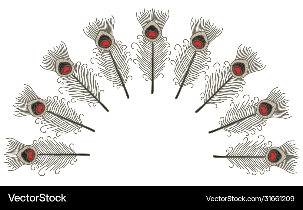 Feather placement print Vector Image
