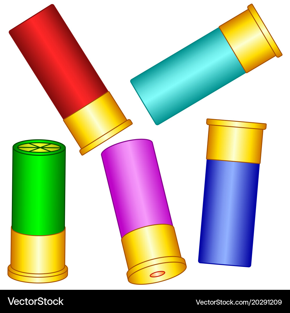 Shotgun shell set vector image
