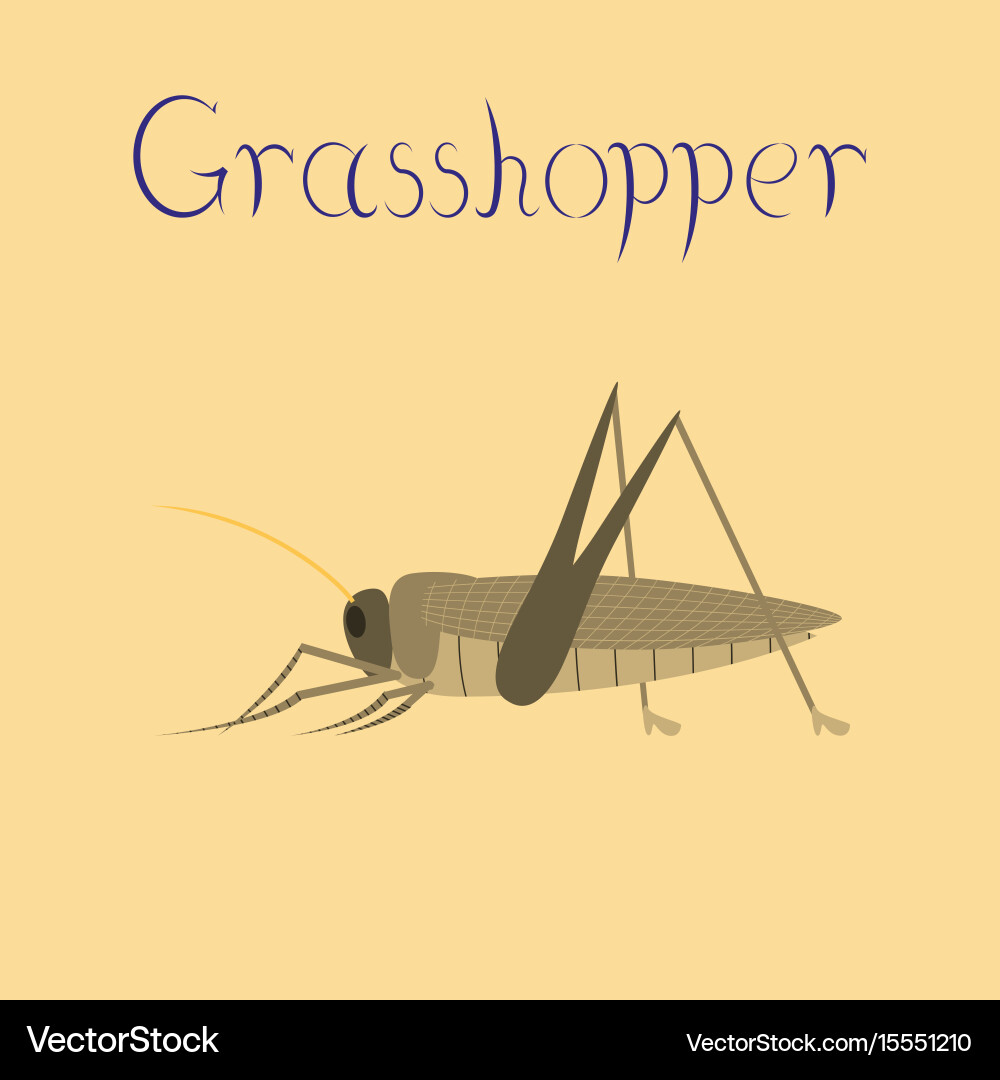 Flat on background grasshopper Vector Image