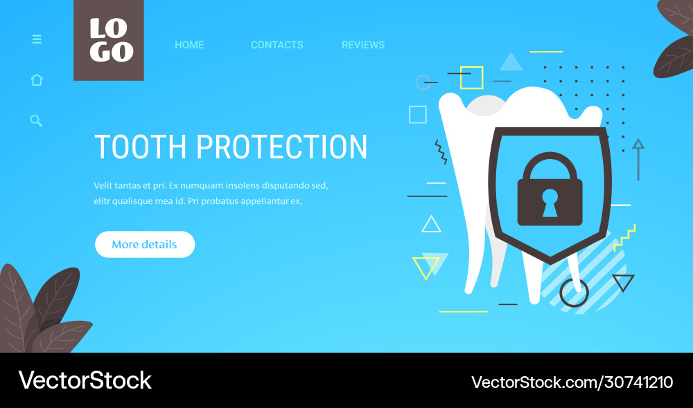 Healthy tooth and shield anti-caries protection Healthy tooth and shield anti-caries protection vector image