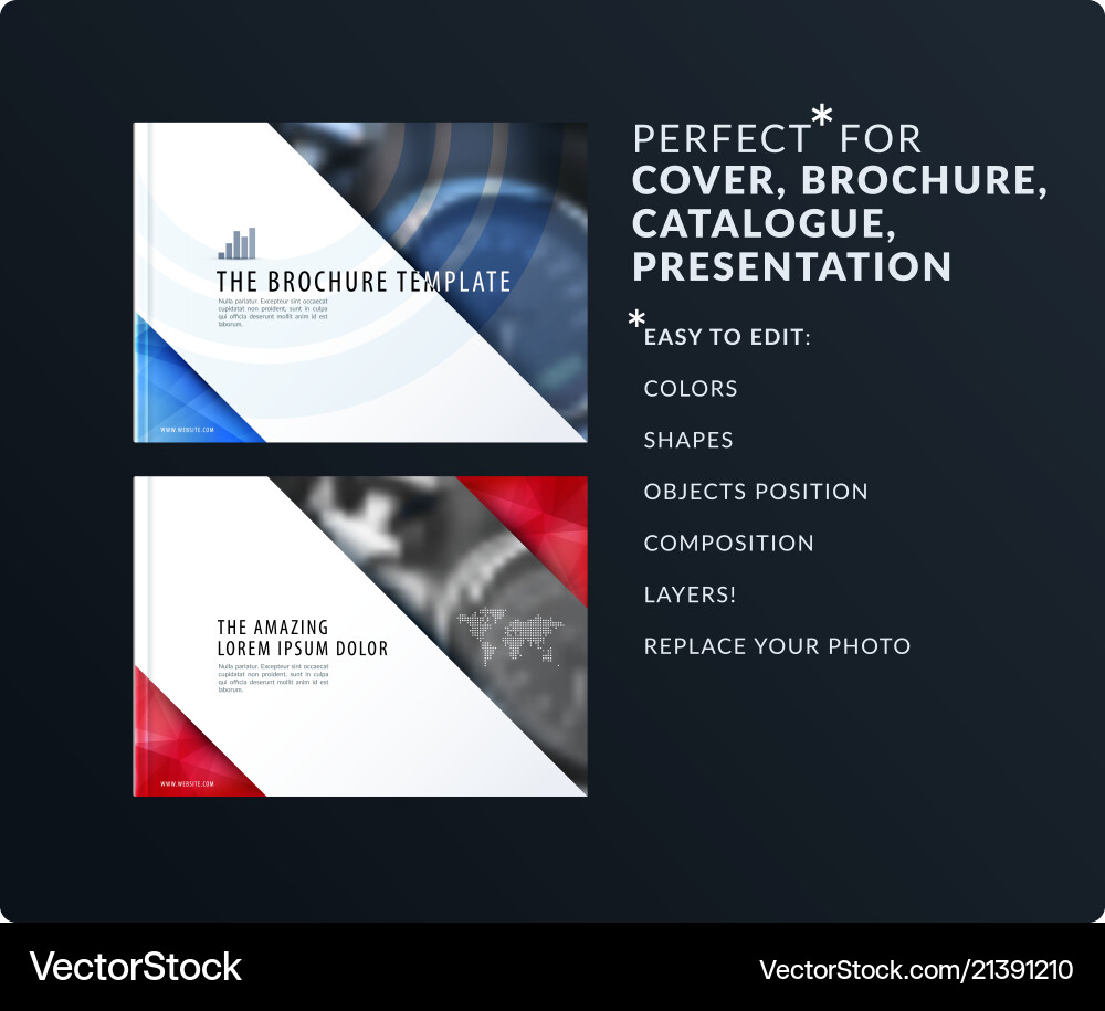 Modern Triangular Presentation Template vector image
