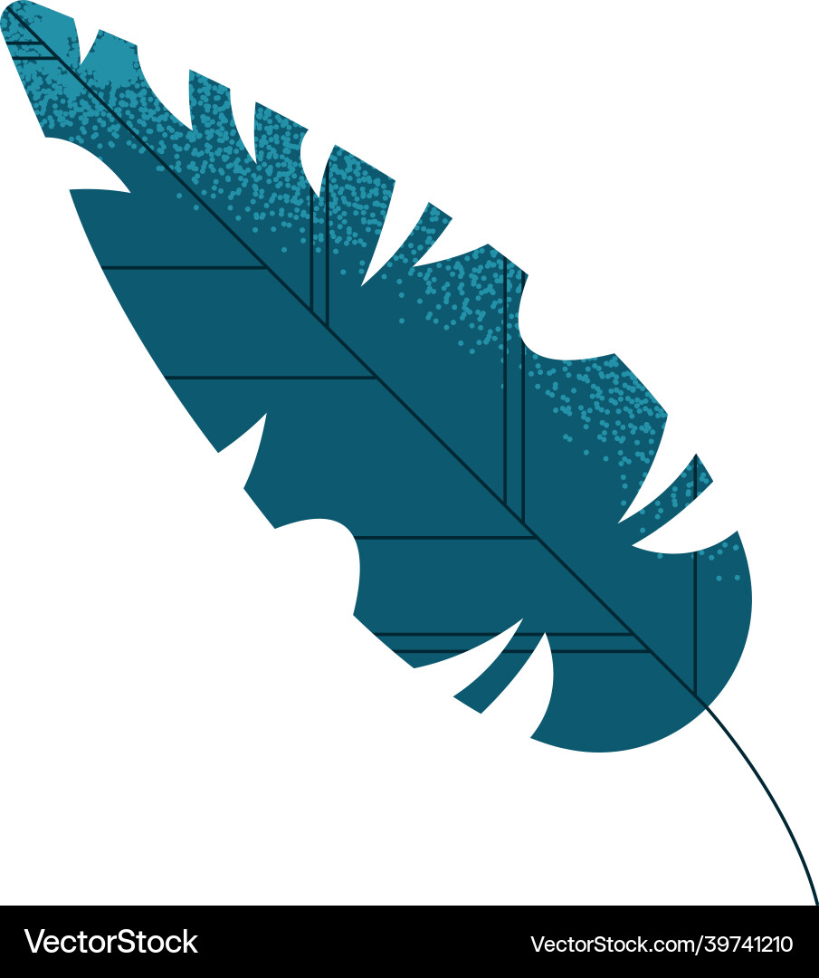 Tree palm leaf Vector Image