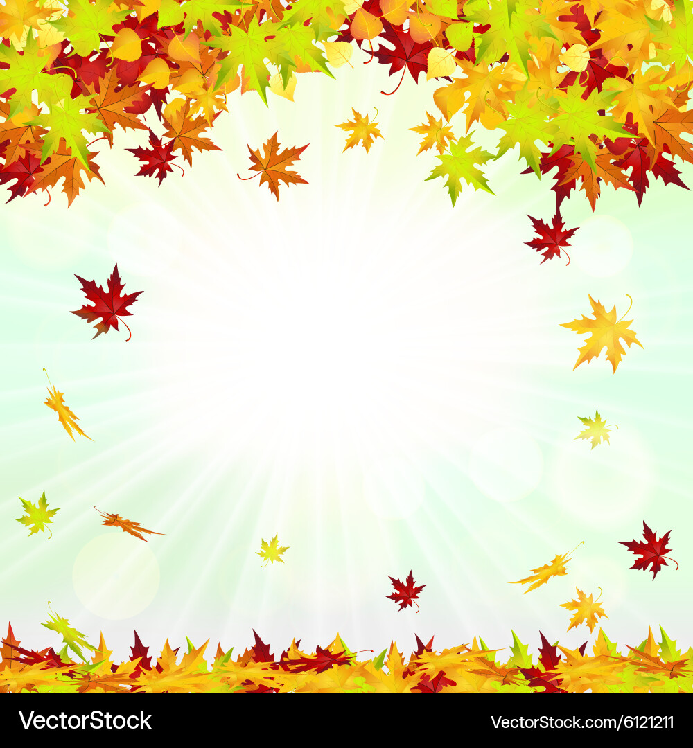 Autumn Leaves Frame Royalty Free Vector Image - VectorStock