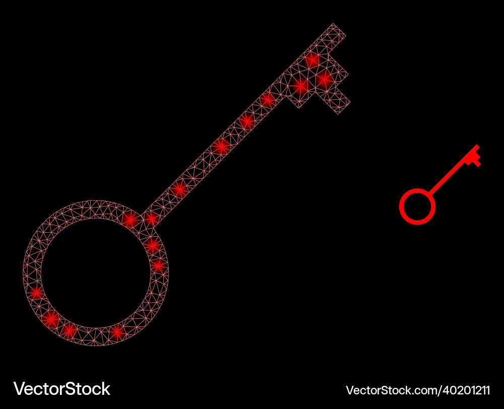 Mesh net key with shiny constellation Mesh net key with shiny constellation vector image