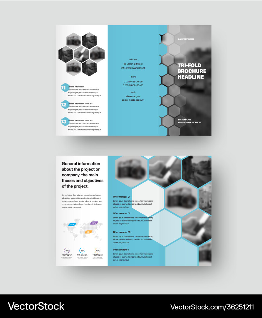 Presentation trifold template with hexagons vector image