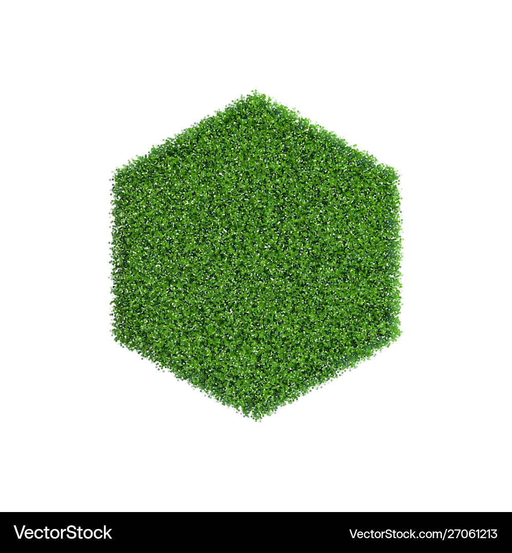 Patch grass in form hexagon vector image