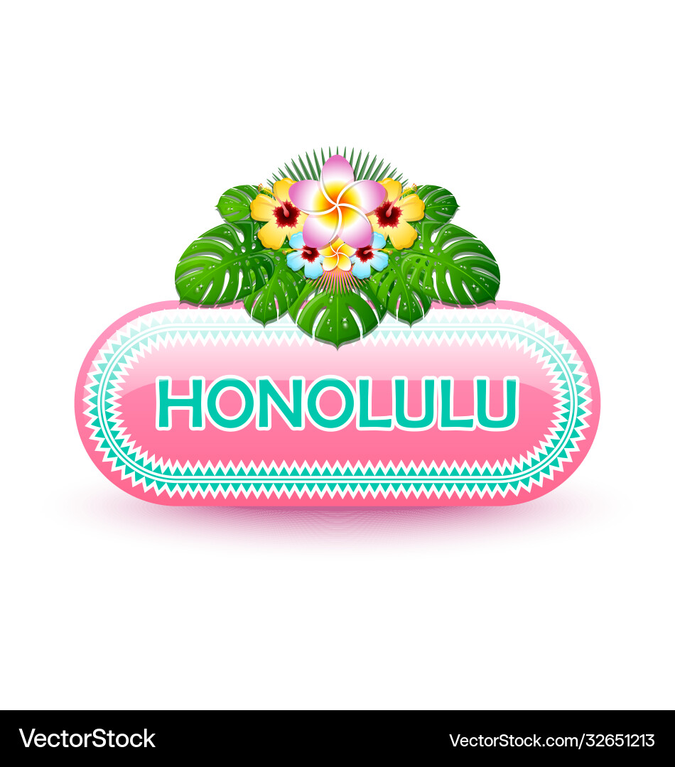 Rounded and glossy hawaiian button Rounded and glossy hawaiian button vector image