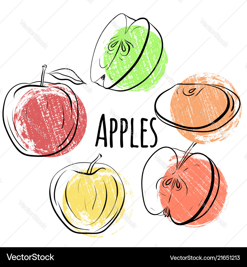 Set of apples different shapes single Set of apples different shapes single vector image