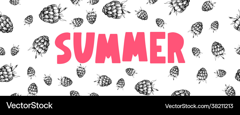 Summer sale banner with fruits raspberry berries vector image