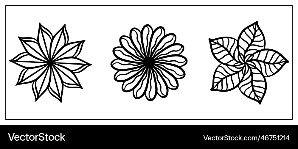 Elements for creating ornaments and patterns Elements for creating ornaments and patterns Vector Image
