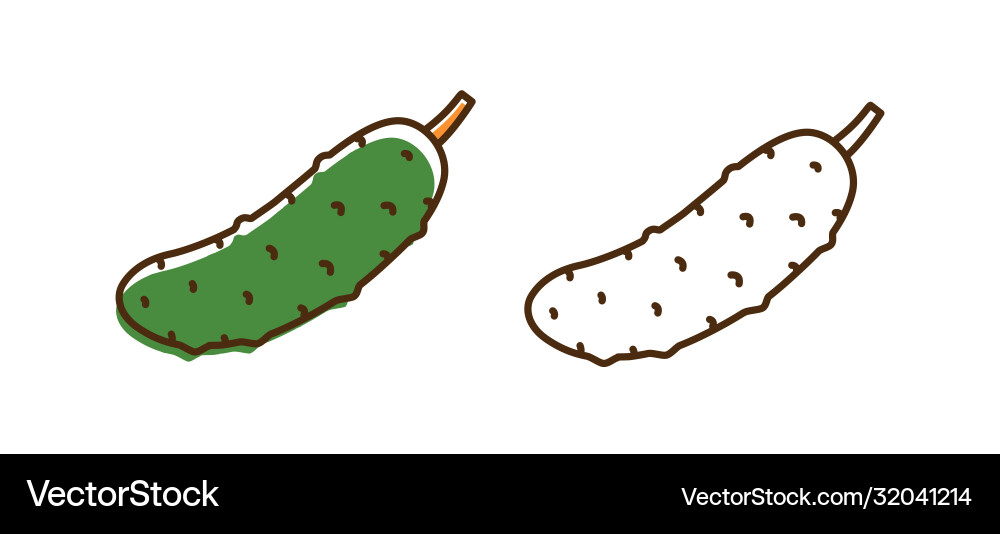 Organic fresh cucumber with design elements Organic fresh cucumber with design elements vector image