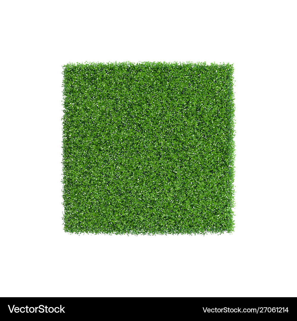 Patch grass in form square vector image