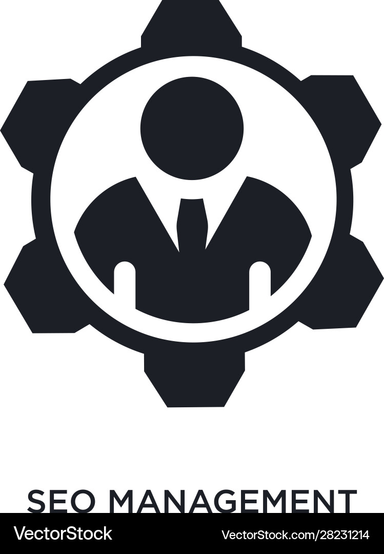 Seo management isolated icon simple element from Vector Image