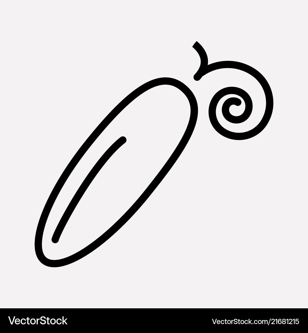 Cucumber icon line element Cucumber icon line element vector image