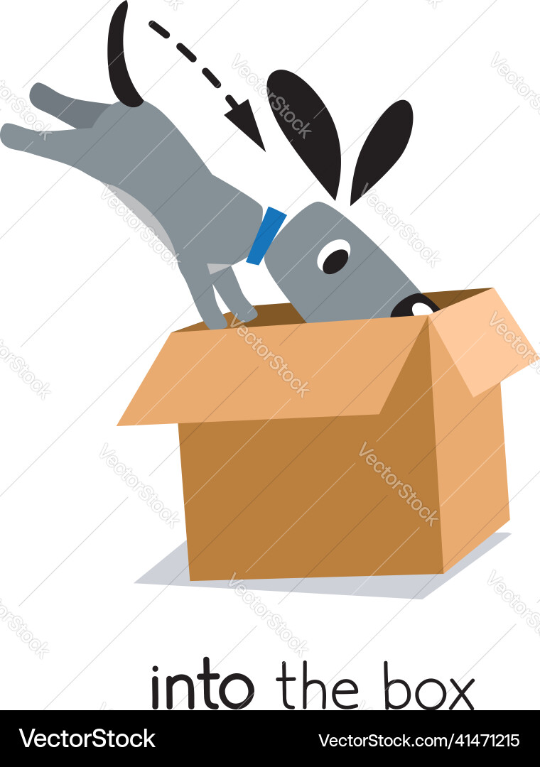 Preposition of movemen dog jumps into the box Preposition of movemen dog jumps into the box vector image