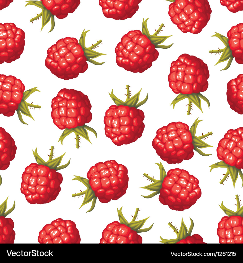 Ripe Raspberry Pattern vector image