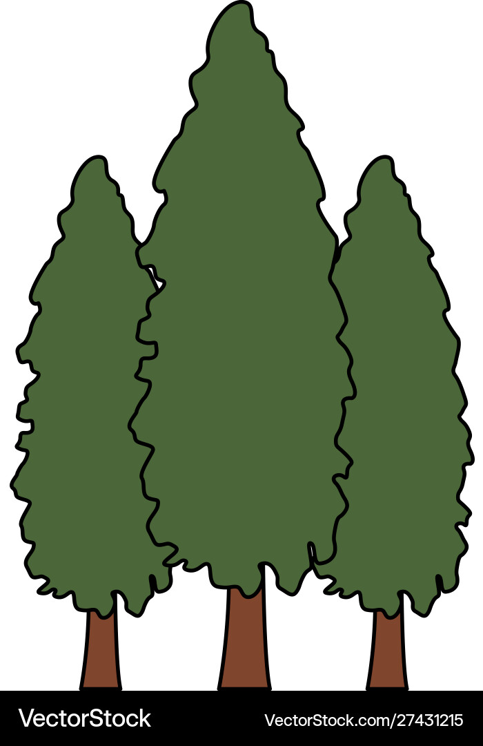 Trees icon image Vector Image