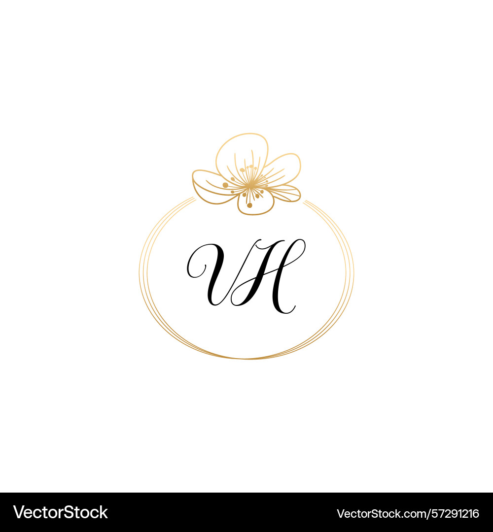 Botanical monogram logos with initial vh Botanical monogram logos with initial vh Vector Image