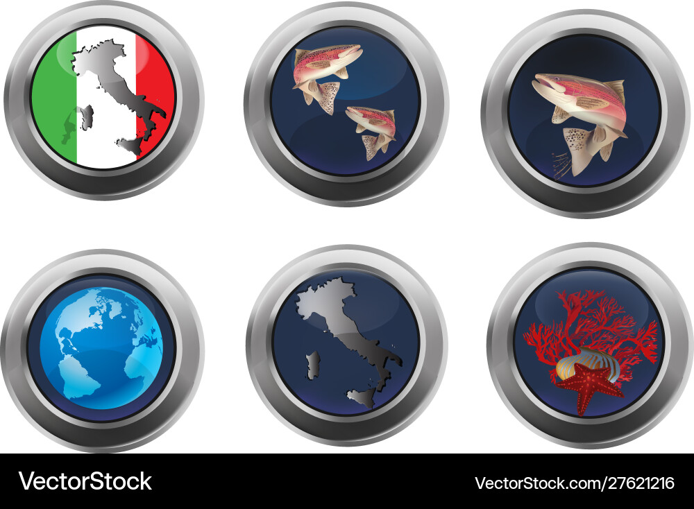 Button with reflections inside various identifying Vector Image