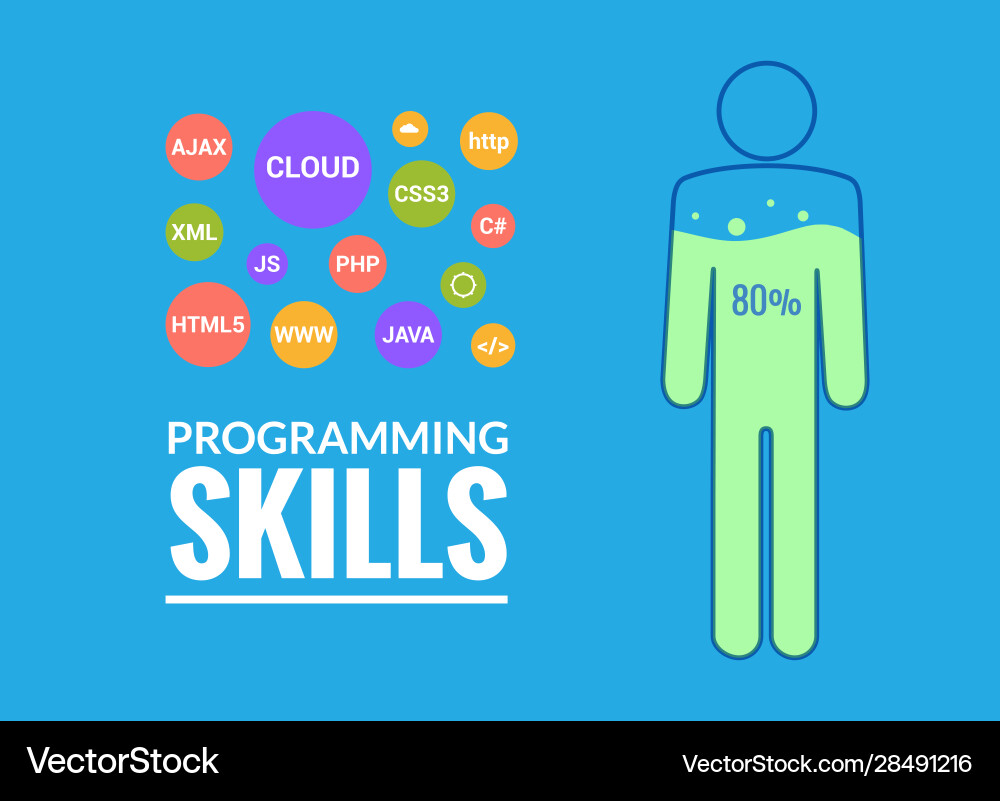 Programmer flat design graphic Programmer flat design graphic vector image