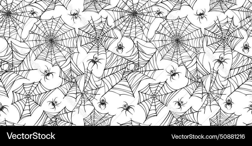 Spooky Cobweb Pattern vector image