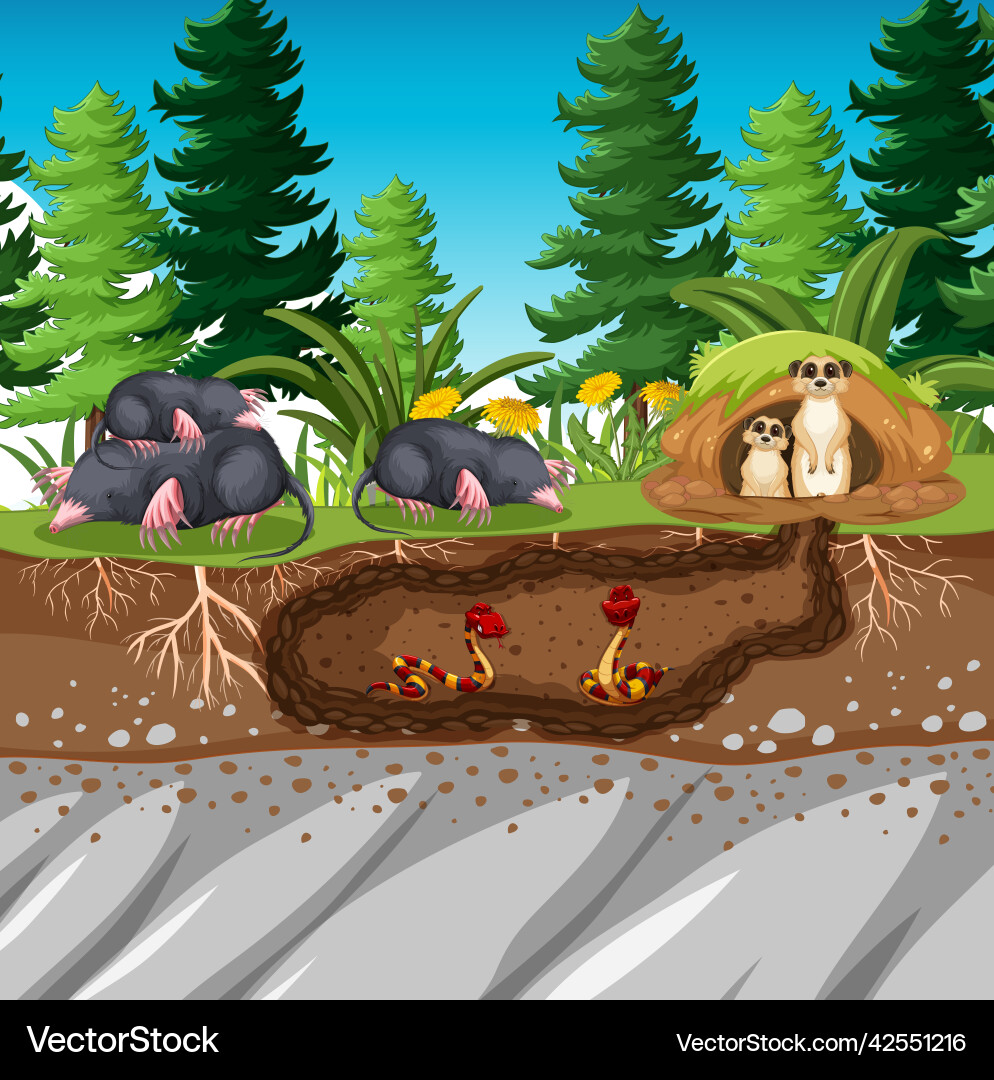 Underground animal hole in cartoon style Underground animal hole in cartoon style vector image
