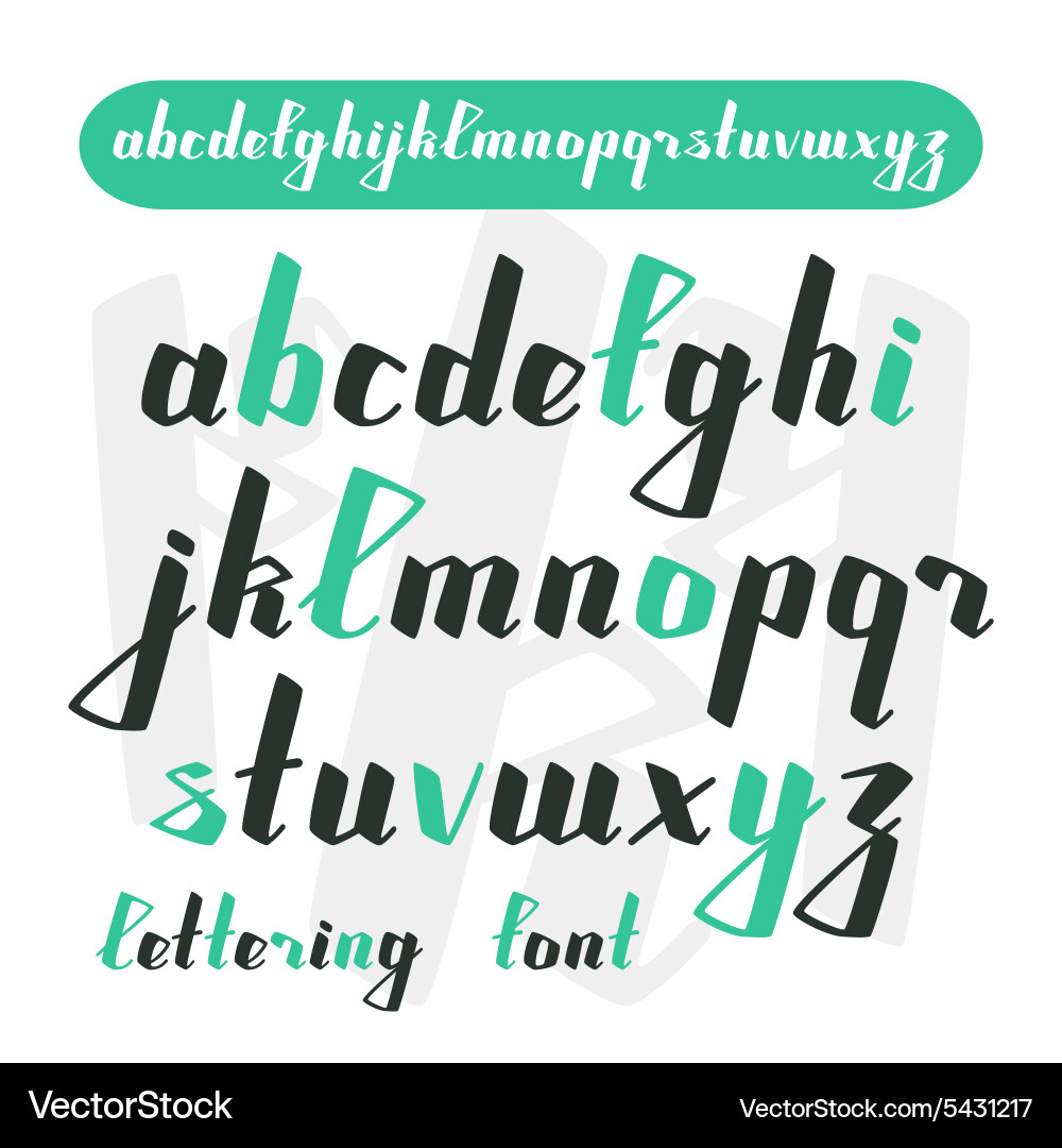 Calligraphic Script Font - Retro Style vector image