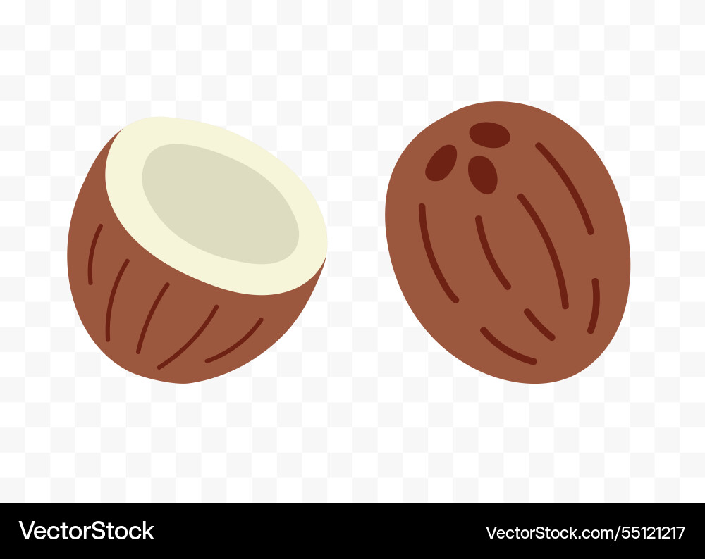 Coconut half and whole fruit flat style set Coconut half and whole fruit flat style set vector image
