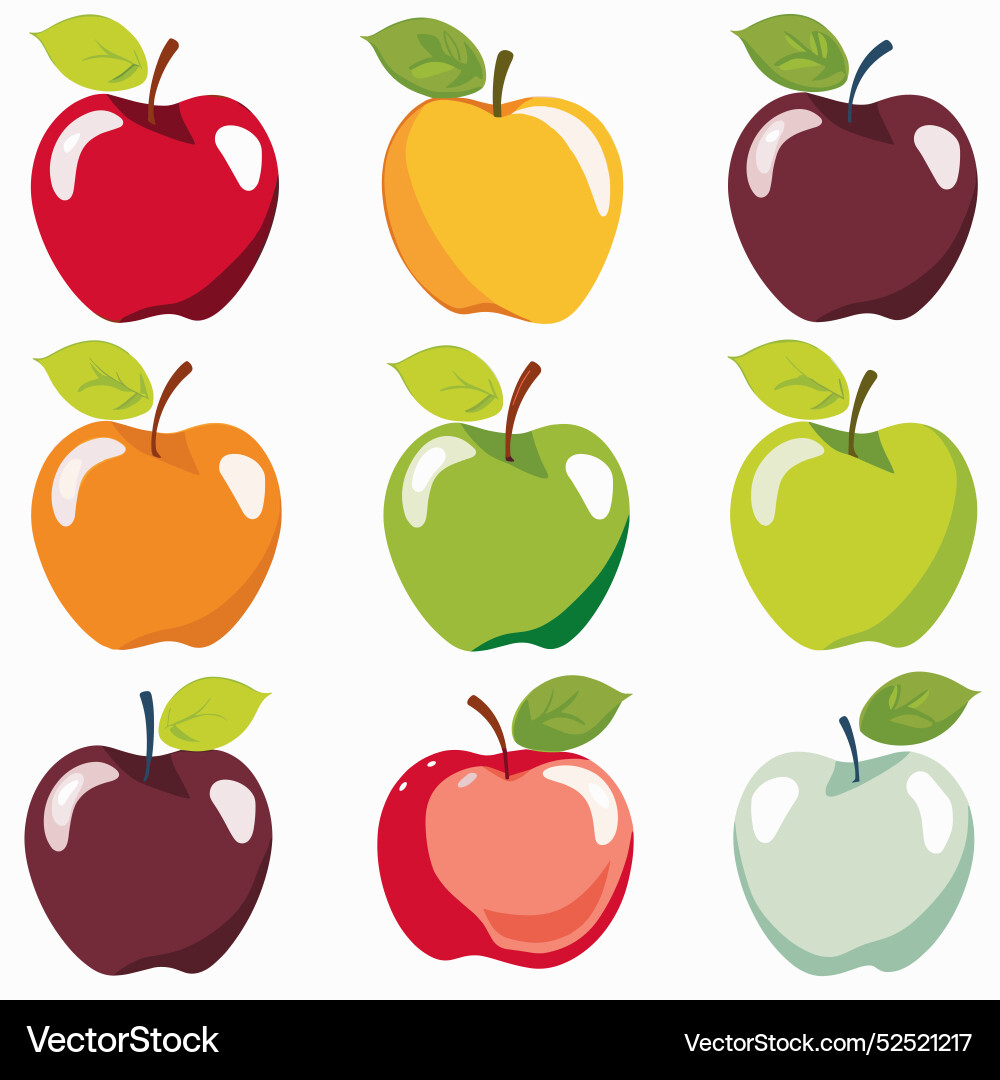 Colorful apples arrayed rows various hues red Colorful apples arrayed rows various hues red Vector Image