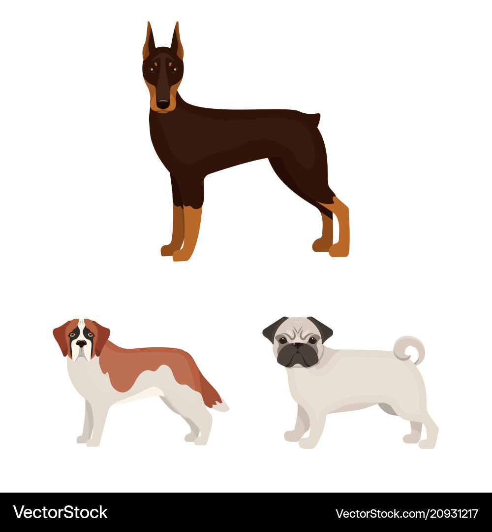 Dog breeds cartoon icons in set collection Vector Image