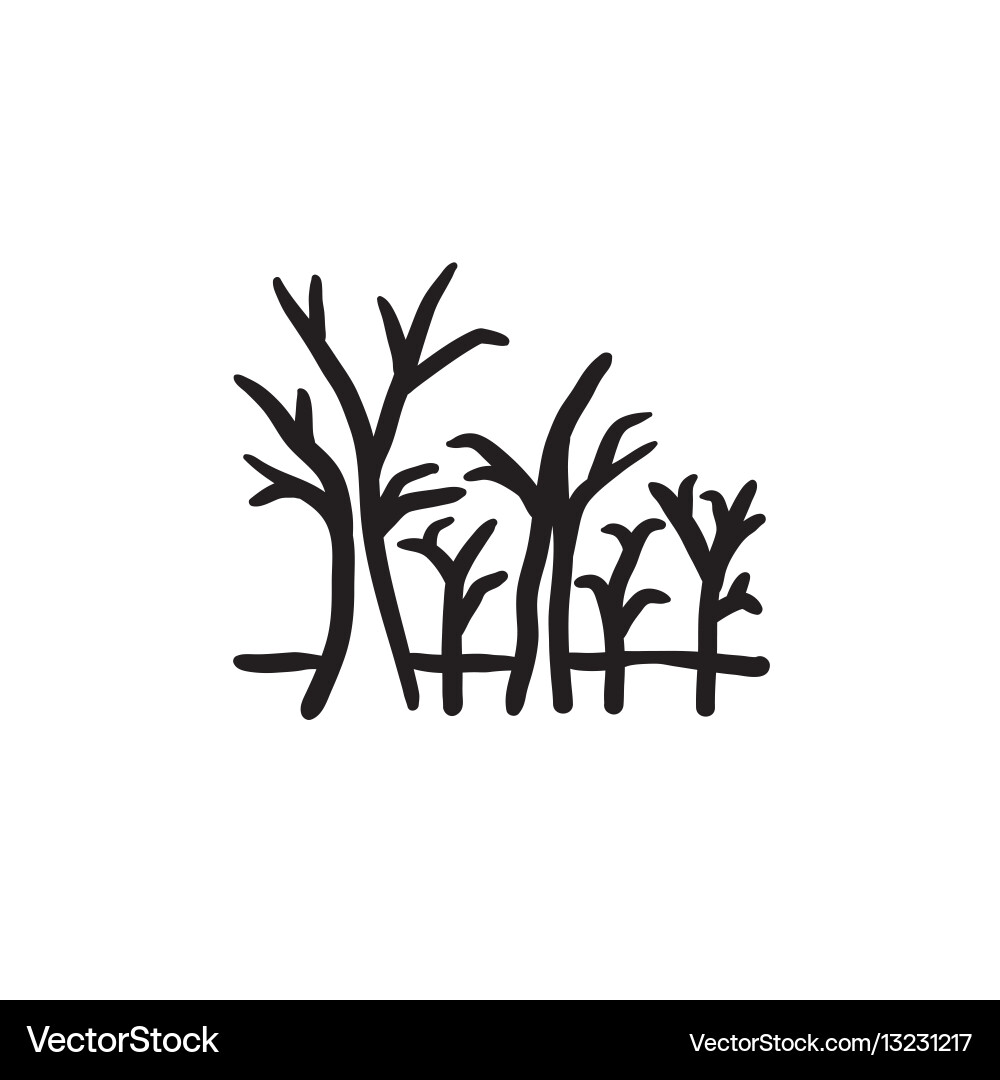 Tree with bare branches sketch icon vector image