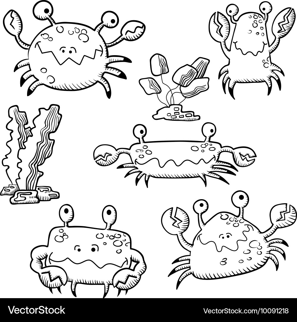 Set with crab and algae vector image