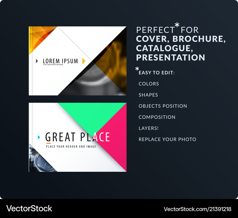 Triangular Presentation Templates vector image