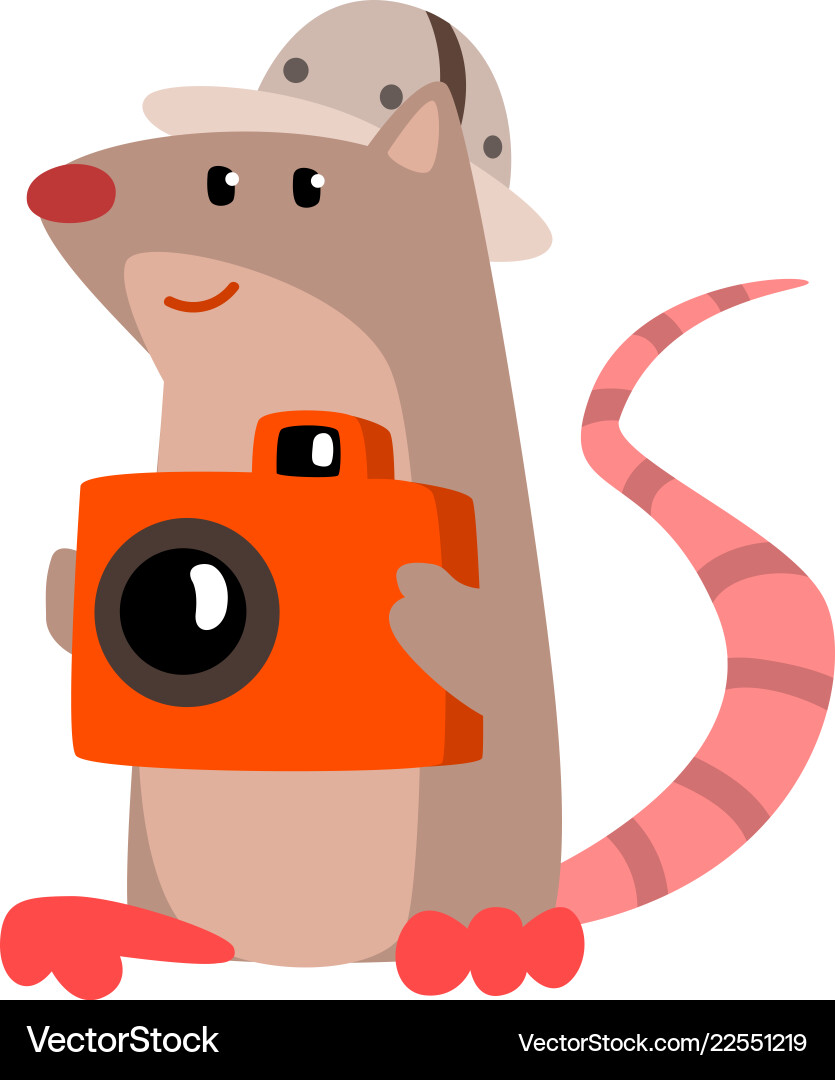 Süße Ratte Bilder mit einer Kamera lustig Süße Ratte Bilder mit einer Kamera lustig vektorbild