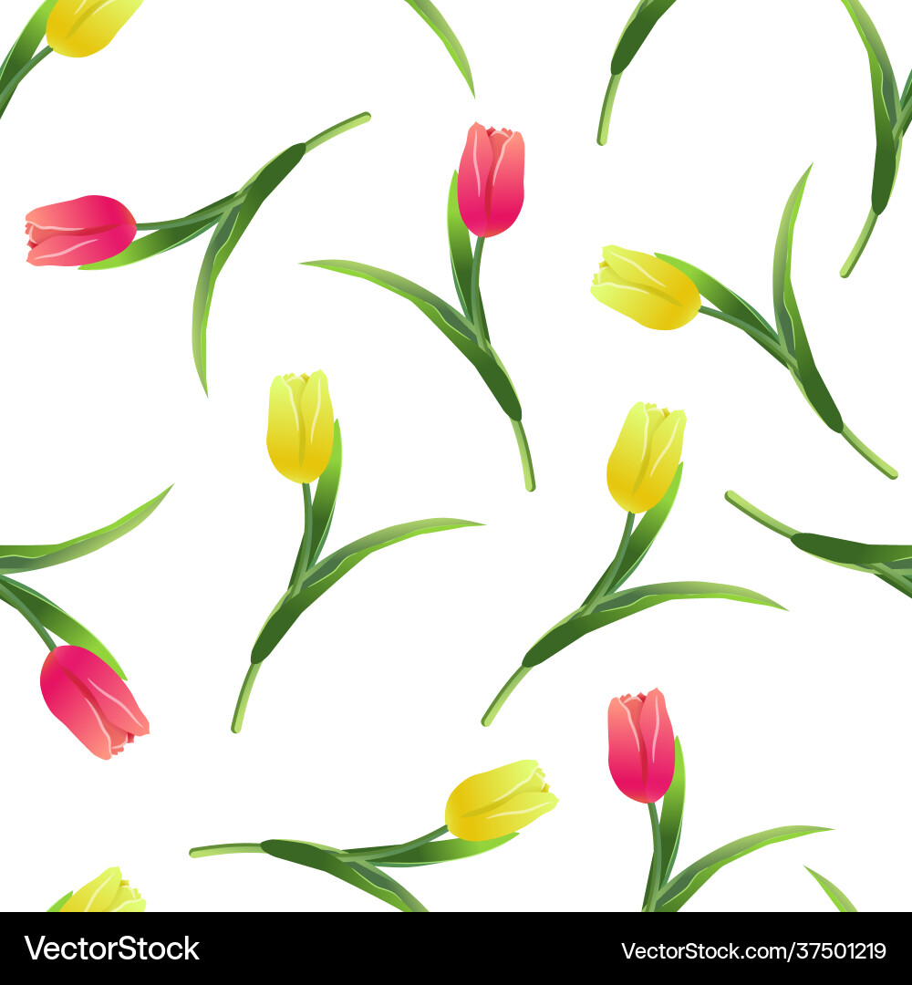 Tulips simless pattern-01 Tulips simless pattern-01 vector image