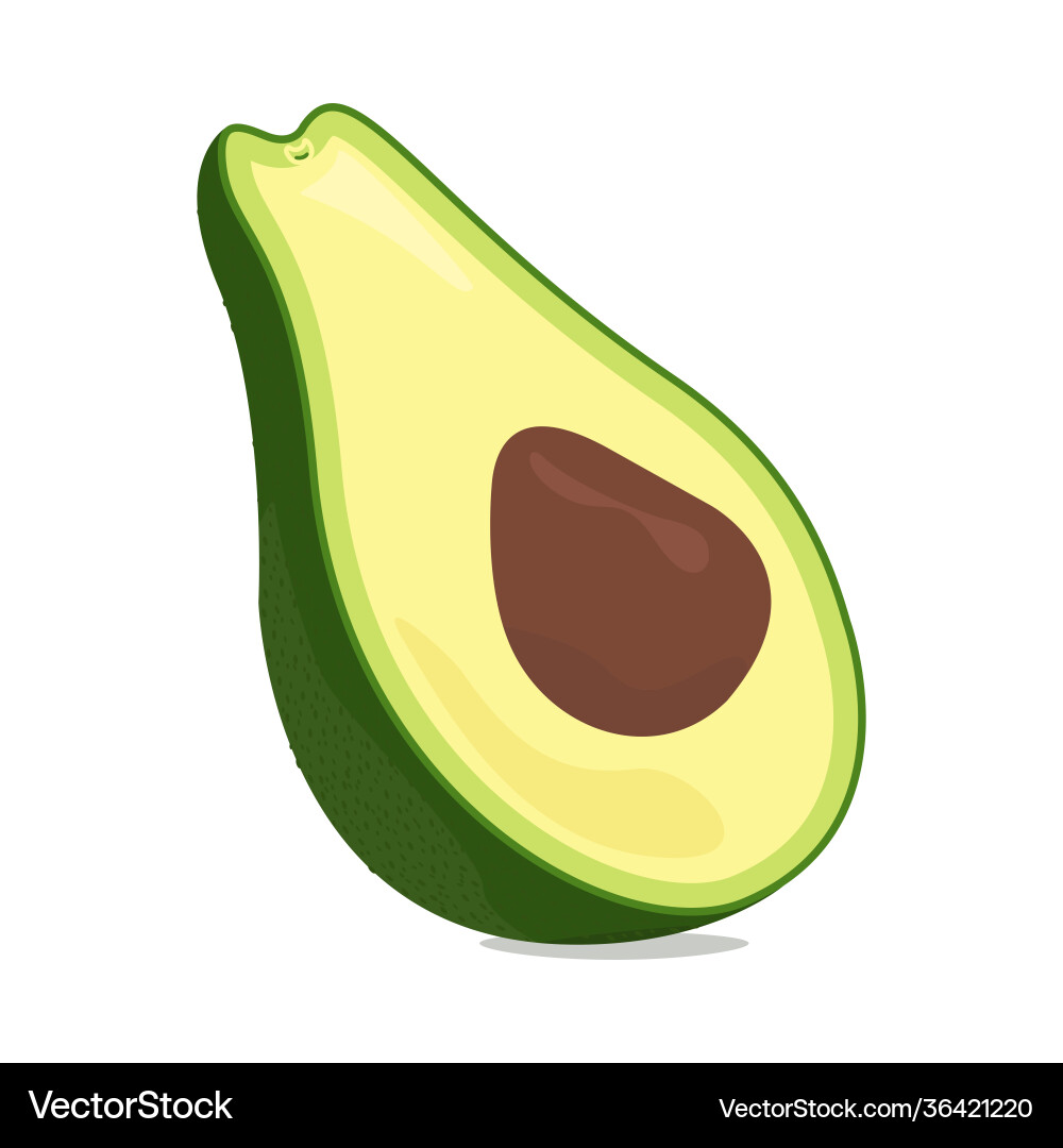 Avocado icon design isolated Avocado icon design isolated vector image